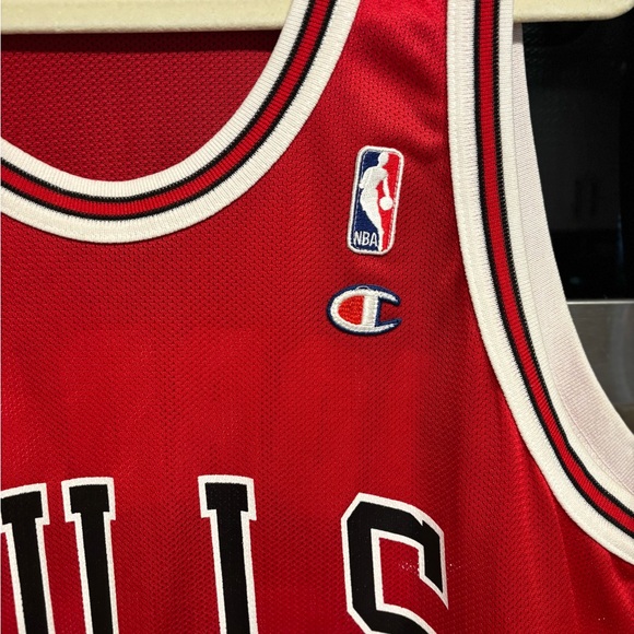 Champion Brand Bulls Jordan Jersey with Number 45 - Picture 4 of 5